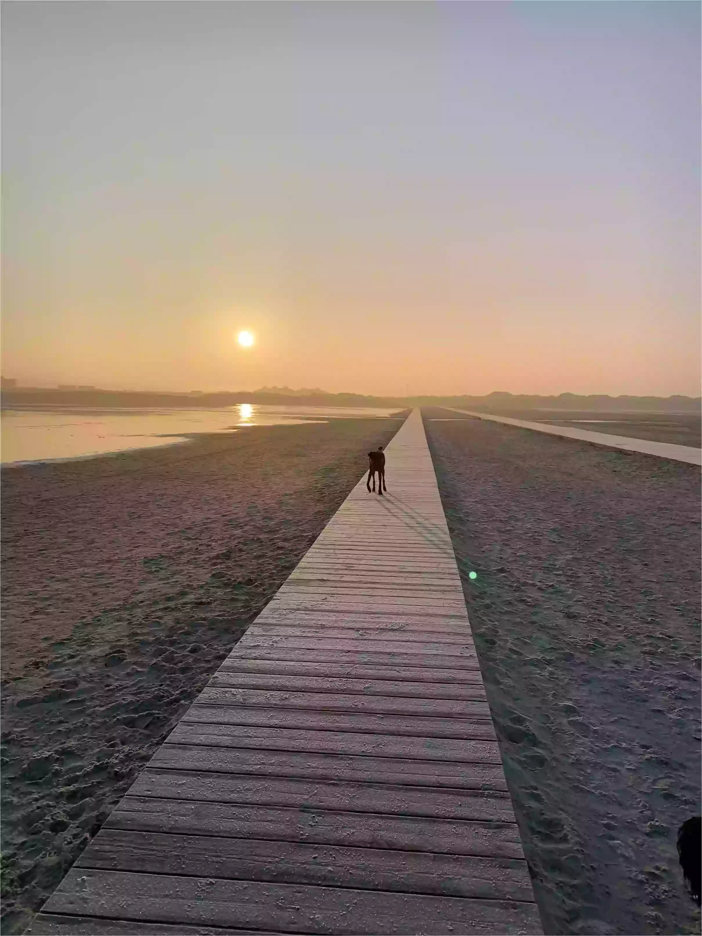 Sankt Peter Ording